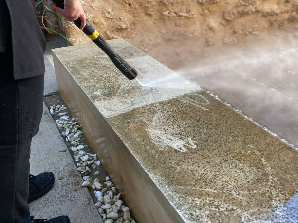 Best House Pressure Washing  in Alvarado, TX